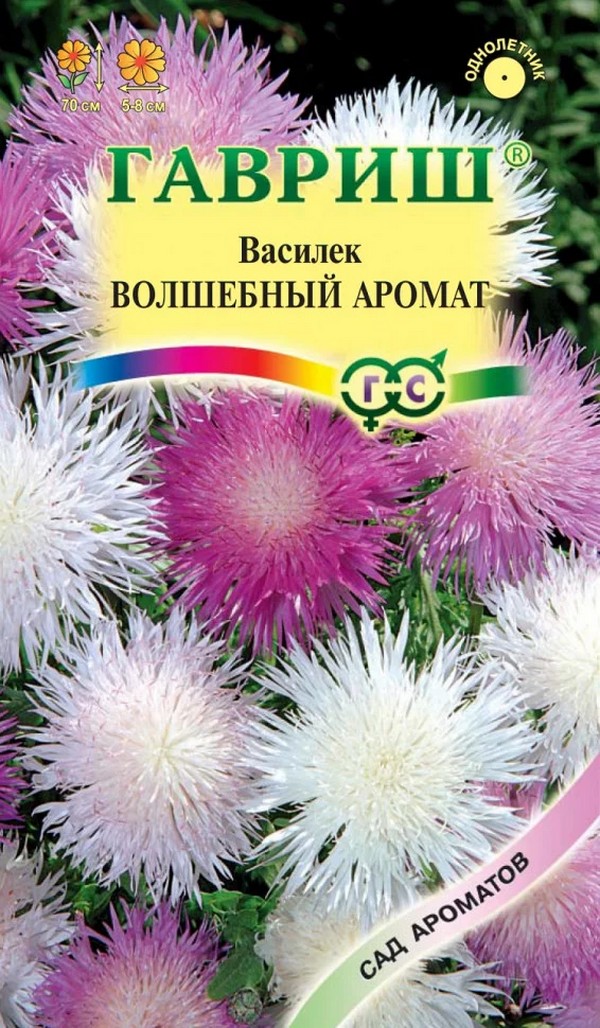 Василёк мускусный Волшебный Аромат, 0,1 г. Сад ароматов.