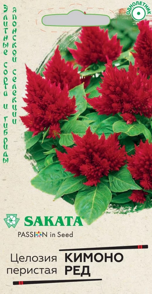 Целозия Кимоно Ред перистая, 8 шт. Элитная клумба. Саката.