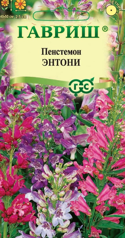 Пенстемон гибридный Энтони, смесь, 0,1 г