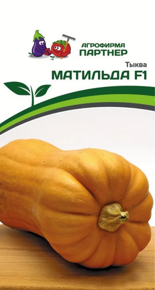 Тыква Матильда F1, 5 шт. Агрофирма Партнер.