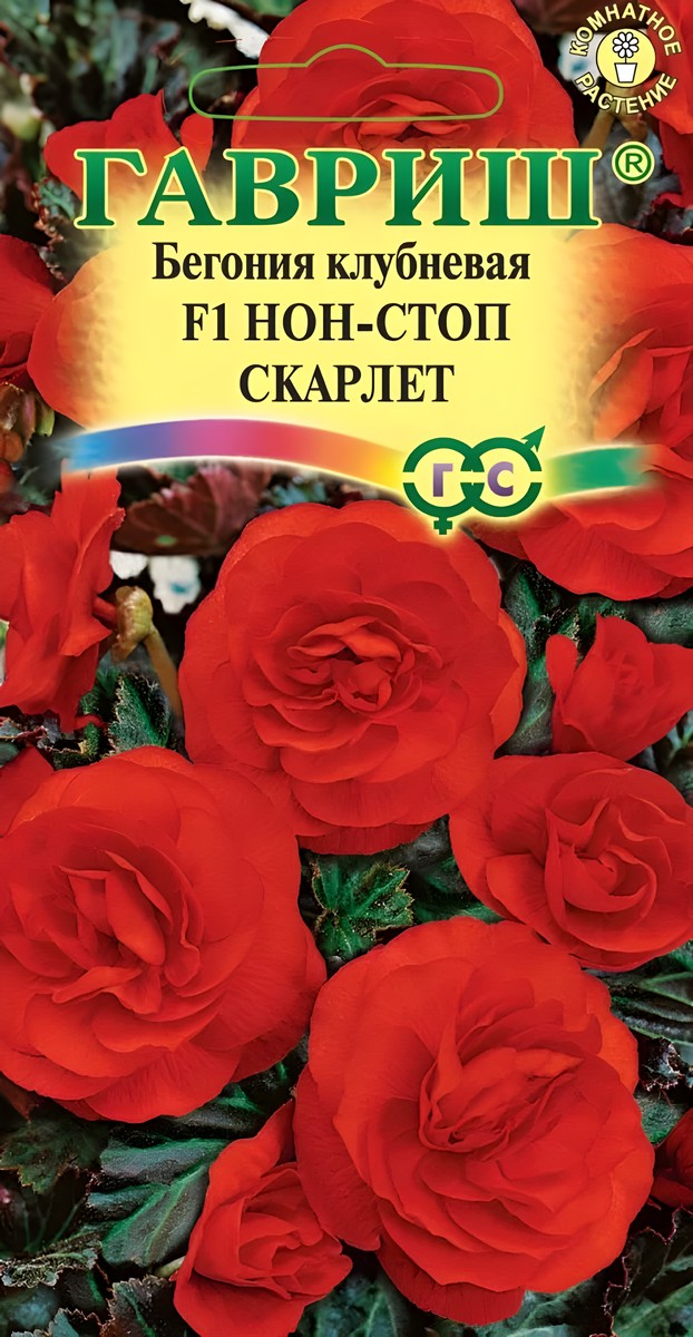 Бегония Нон-стоп Скарлет F1 клубневая, 4 шт. гранул. проб. Цветочная коллекция.