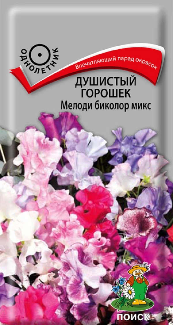 Душистый горошек Мелоди биколор микс, 1 г