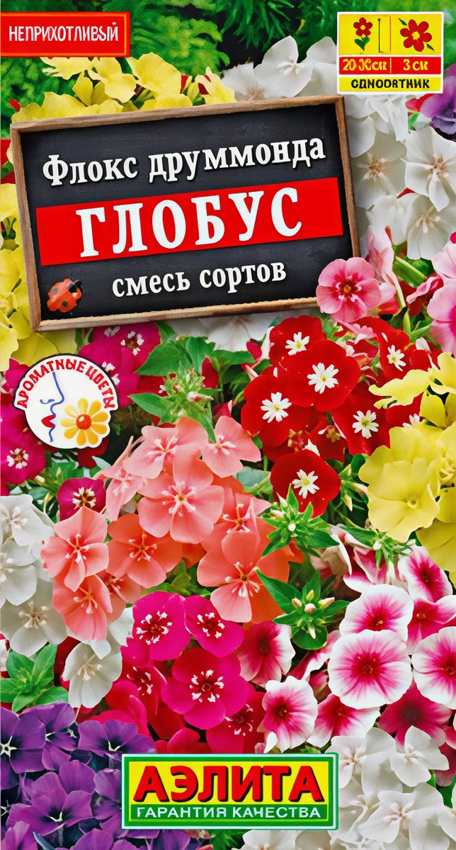 Флокс Друммонда Глобус смесь окрасок, 0,1 г