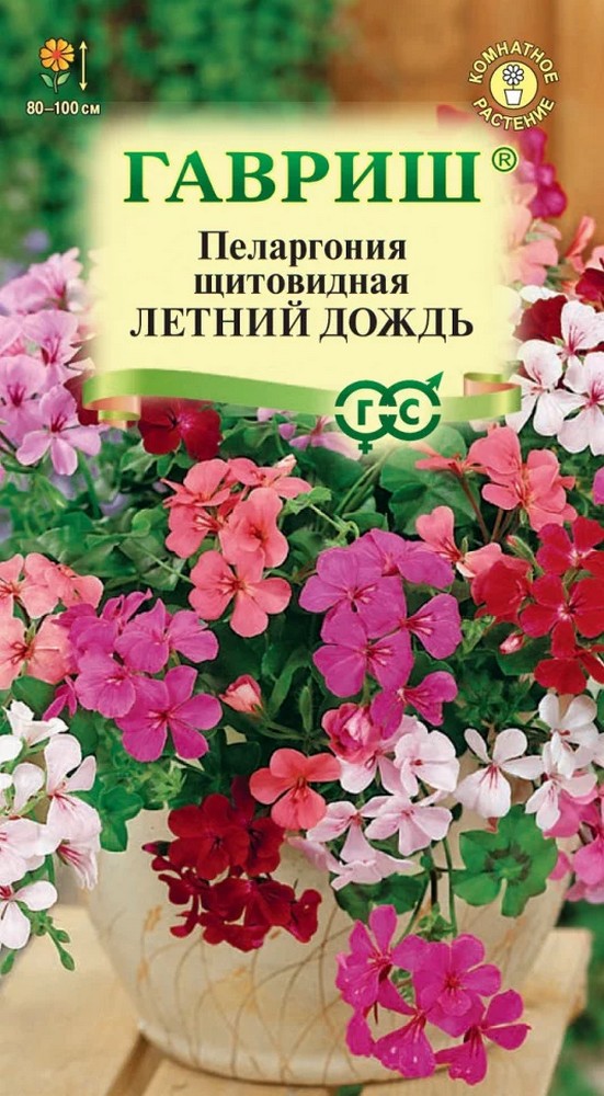 Пеларгония курчавая Летний дождь, смесь, 3 шт.