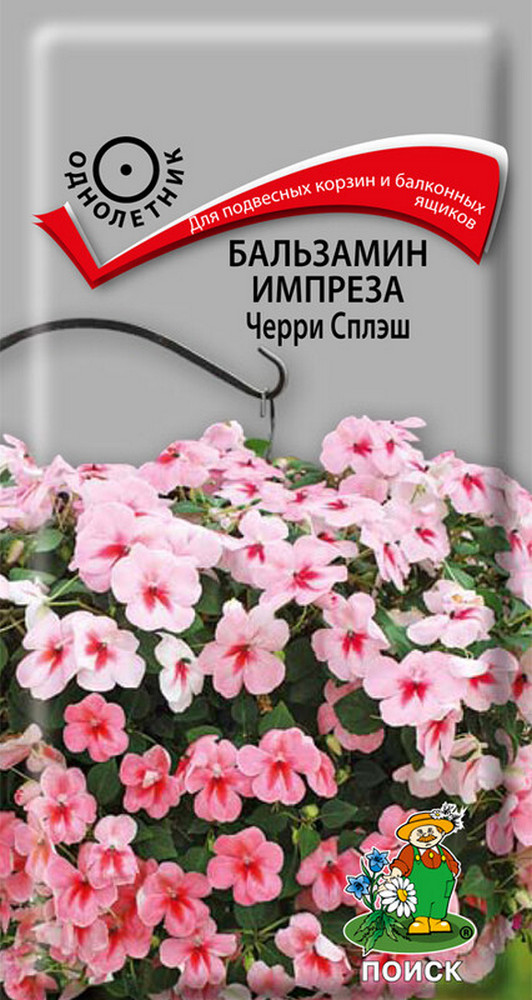 Бальзамин импреза Черри сплэш, 10 шт.