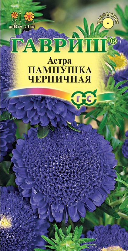 Астра Пампушка черничная, помпонная, 0,3 г
