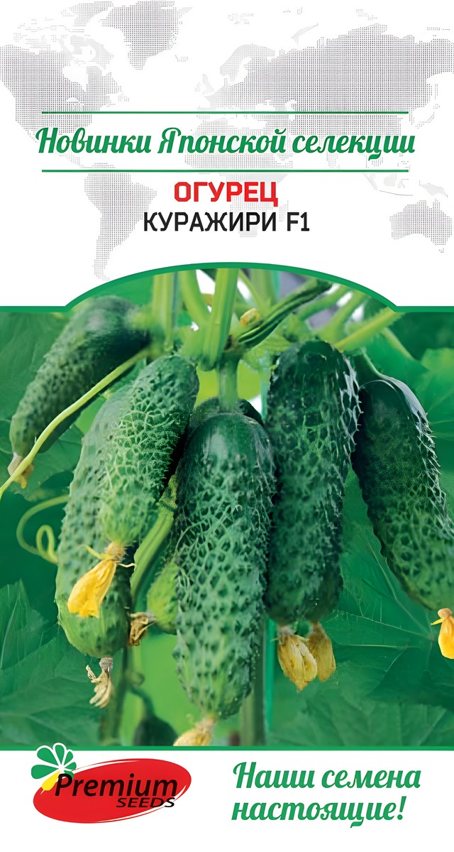 Огурец Куражири F1, 5 шт.
