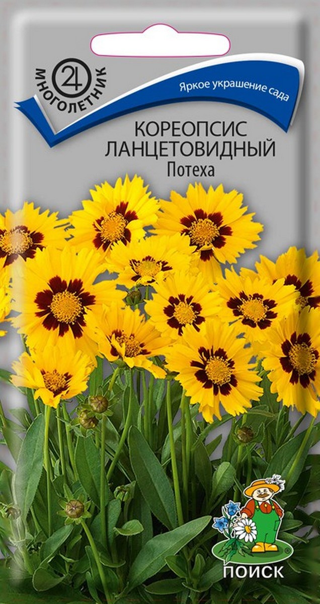 Кореопсис ланцетовидный Потеха, 0,1 г