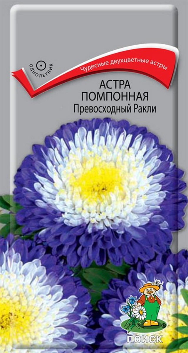 Астра помпонная Превосходный Ракли, 0,3 г