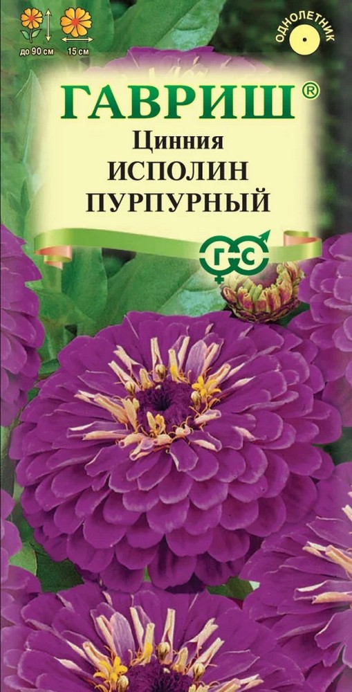Цинния Исполин пурпурный, 0,3 г 