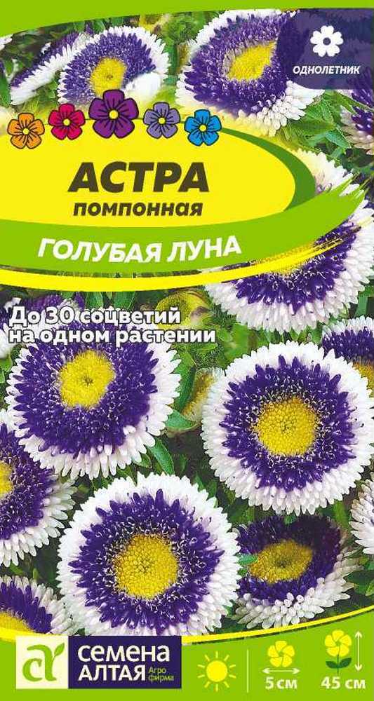 Виола Фламенко F1 Вайлет, 5 шт.