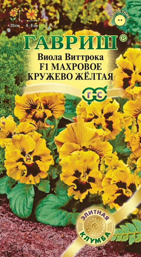 Виола Махровое кружево желтая F1, 5 шт. Элитная клумба.