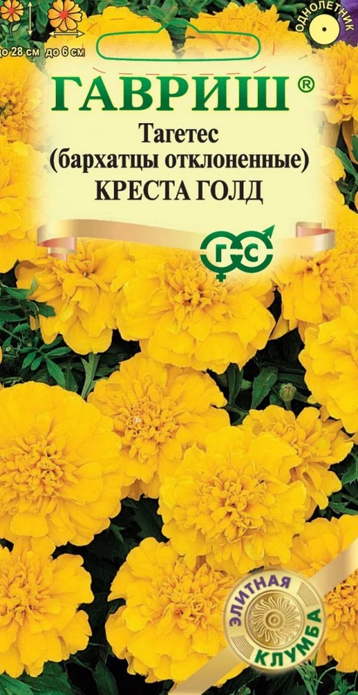 Бархатцы отклонённые Креста Голд, 10 шт. Элитная клумба.