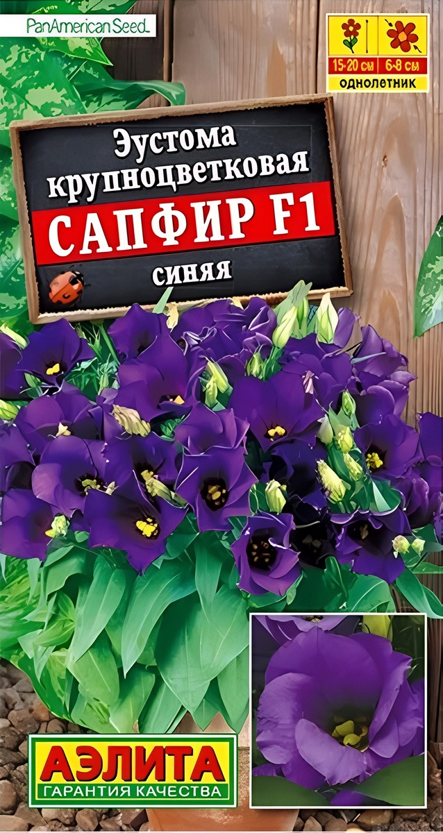 Эустома Сапфир F1 синяя крупноцветковая, 5 шт.
