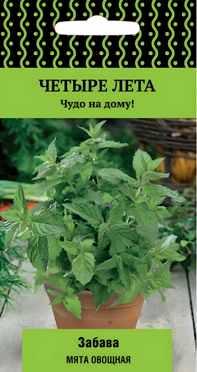 Мята Забава овощная , 20 шт. Четыре лета.