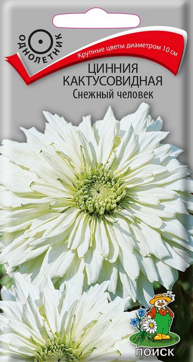 Цинния кактусовидная Снежный человек, 0,4 г