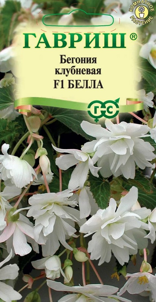 Бегония клубневая Бэлла F1, ампельная, 5шт. 