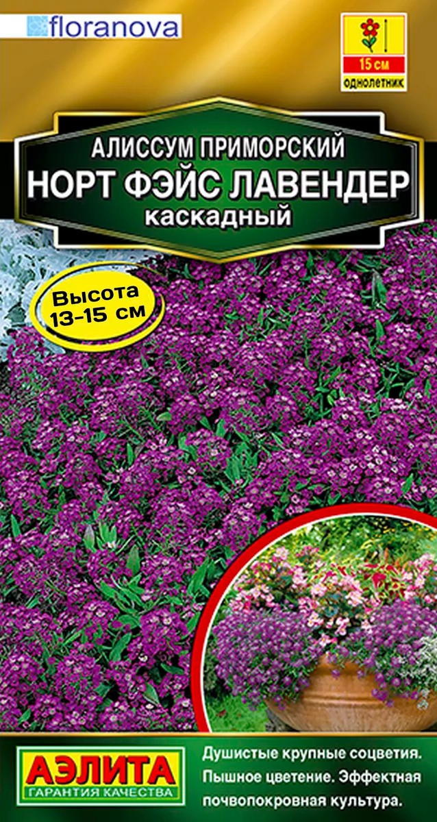 Алиссум Норт фэйс лавендер каскадный, 10 шт.