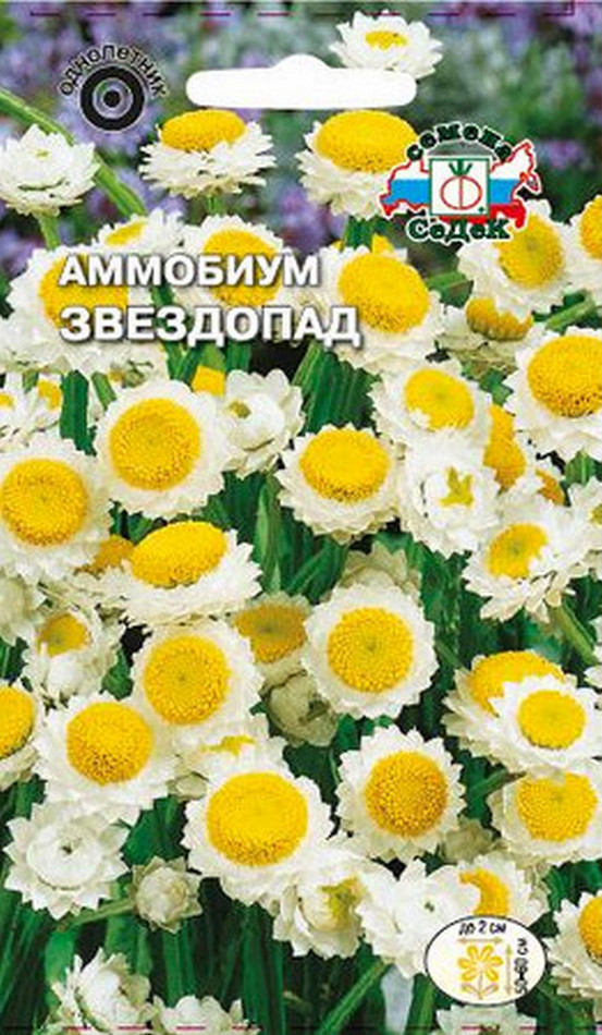 Аммобиум Звездопад, 0,2 г