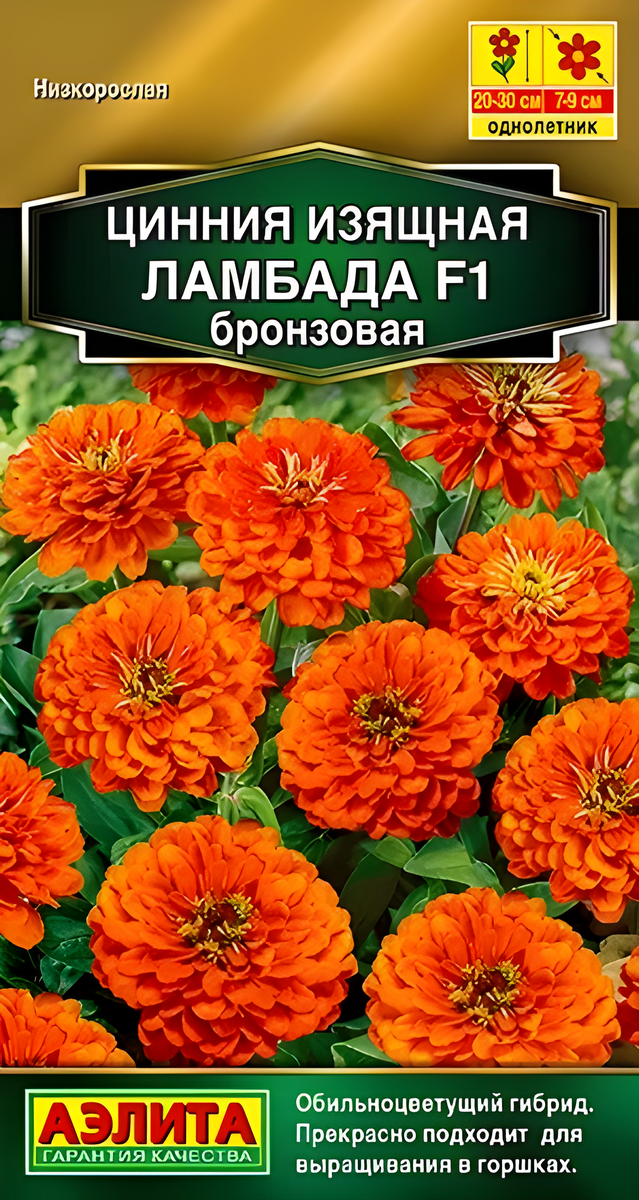 Цинния изящная Ламбада F1, бронзовая, 12 шт.