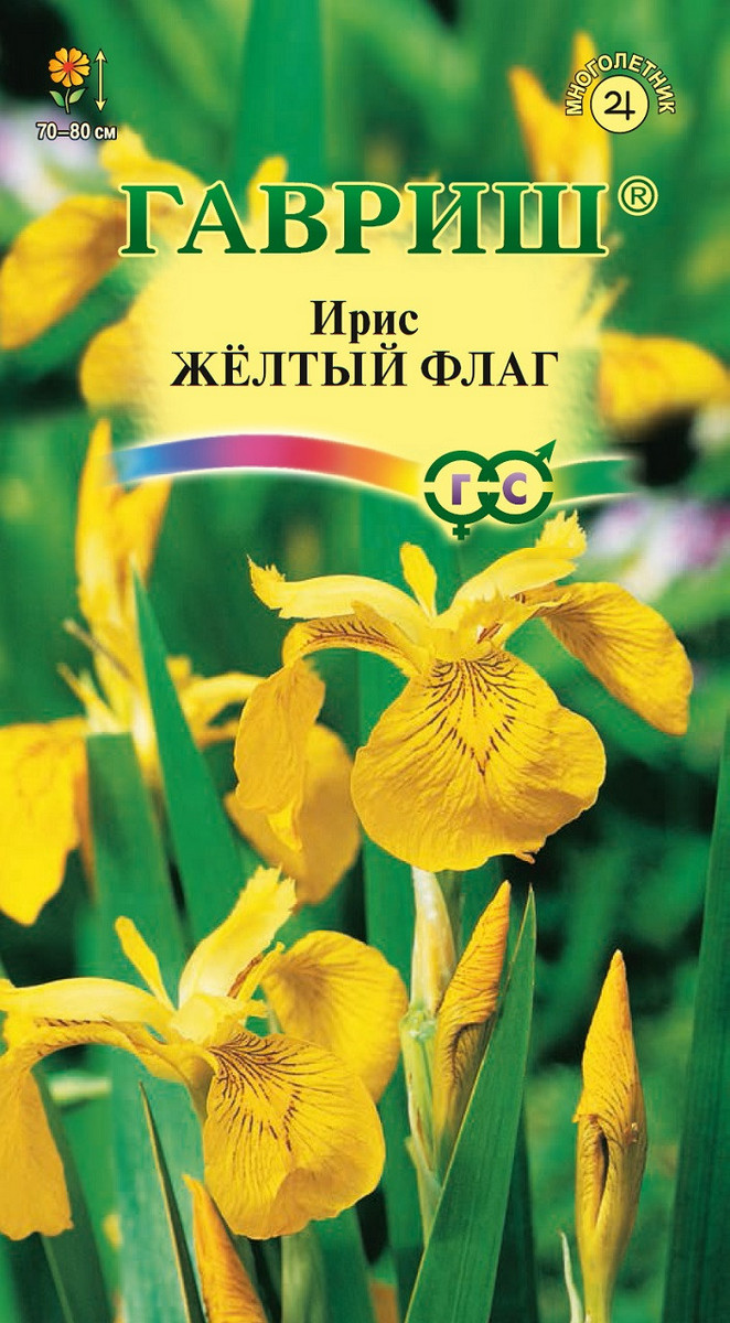 Ирис Желтый флаг (болотный) 3 шт.