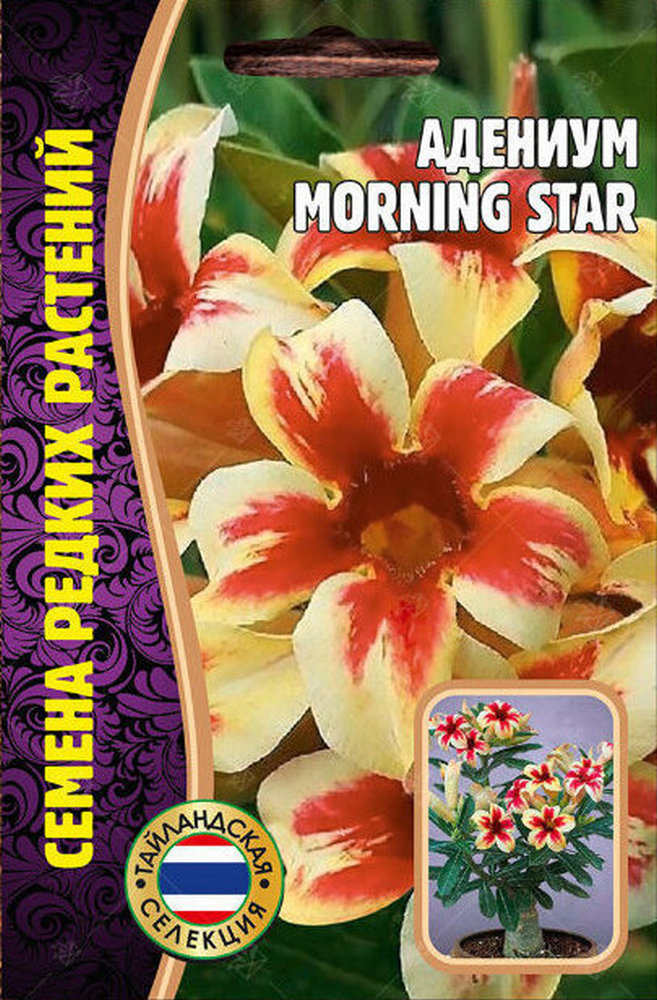 Адениум MORNING STAR, 3 шт.
