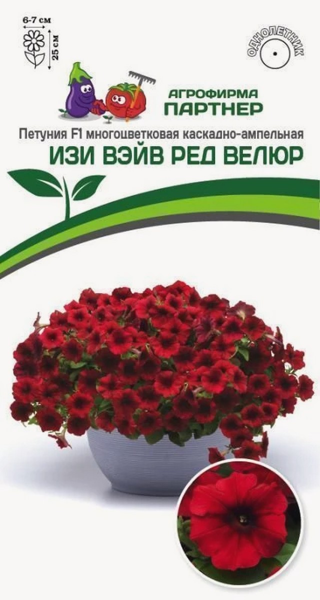 Петуния Изи Вэйв Ред Велюр F1, каскадно-ампельная, 5 шт.