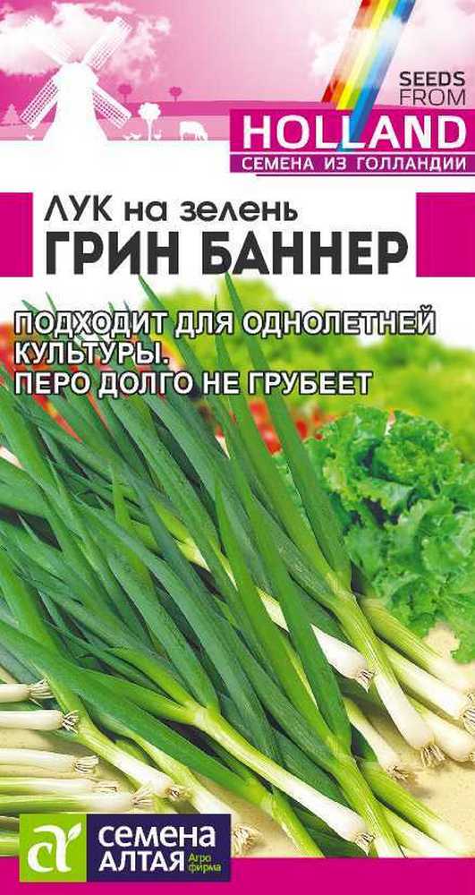 Лук на зелень Грин Баннер, 0,2 г. Голландские Семена.