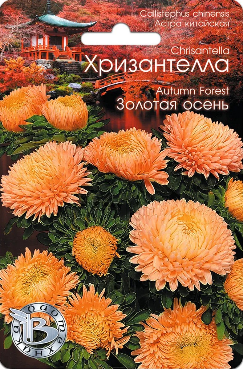 Астра китайская Хризантелла Золотая осень, 30 шт. Биотехника