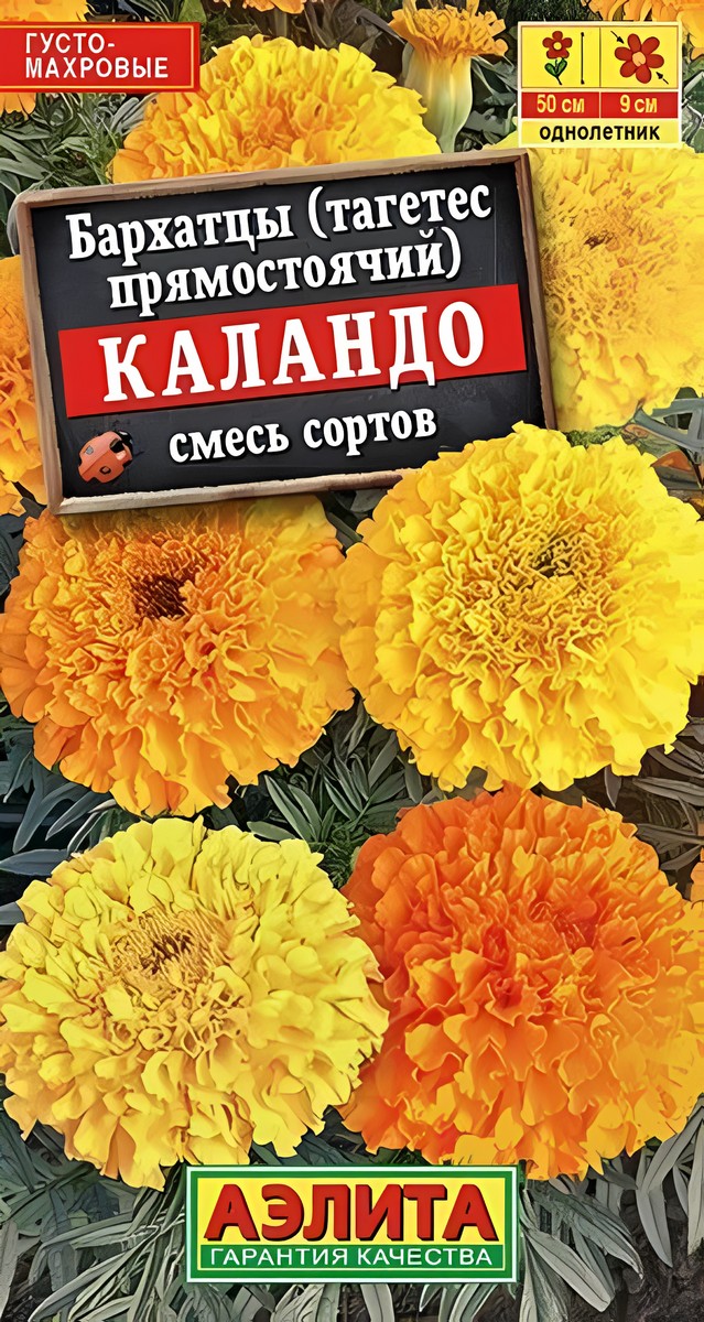 Бархатцы Каландо прямостоячие, смесь окрасок 0,3 г