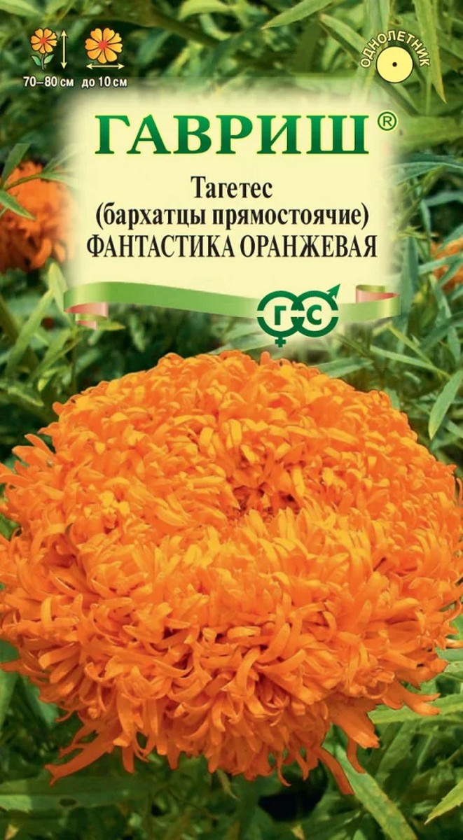 Бархатцы прямостоячие, тагетес, Фантастика оранжевая, 0,1 г. Цветочная коллекция.