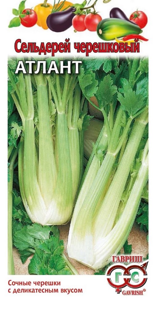 Сельдерей черешковый Атлант, 0,3 г