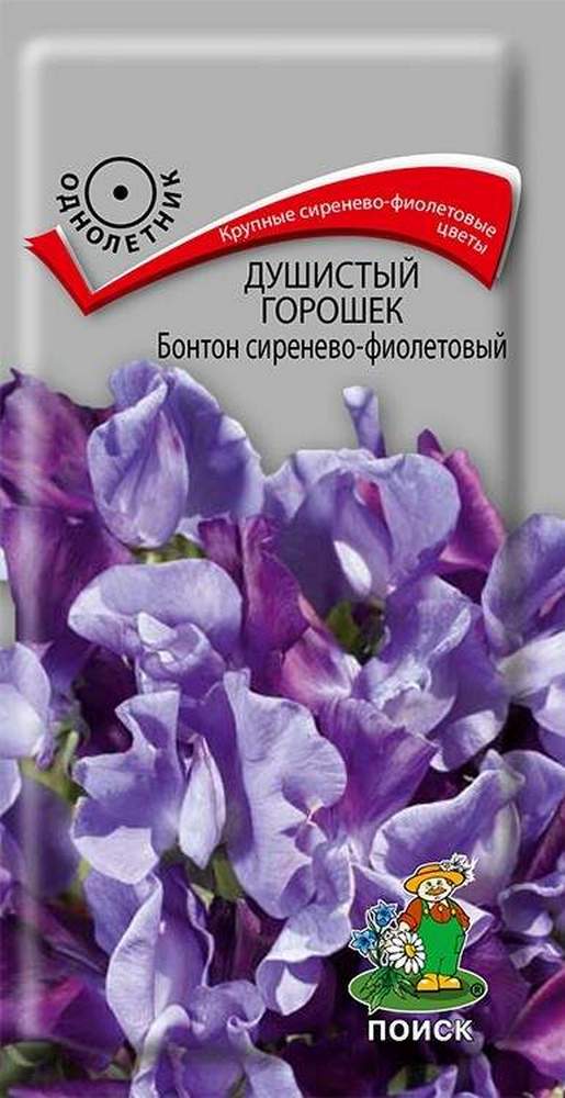 Душистый горошек Бонтон сиренево-фиолетовый, 1 г