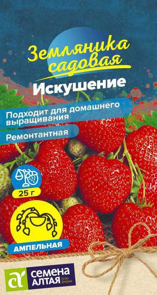 Земляника Искушение ремонтантная, 5 шт.  