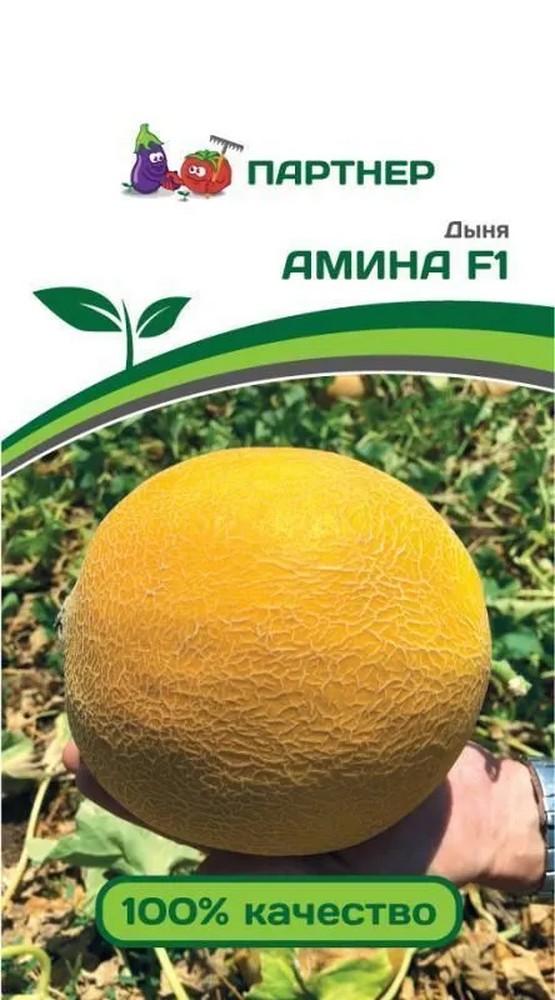 Дыня Амина F1, 5 шт. Агрофирма Партнер.
