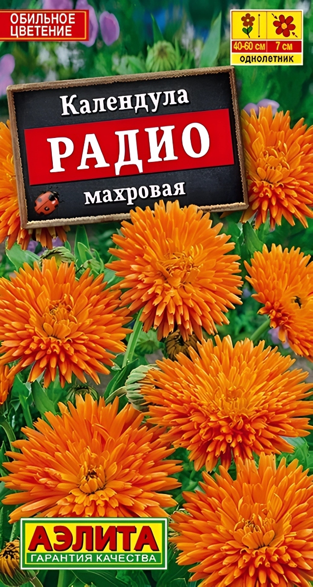 Календула Радио, махровая, 0,5 г