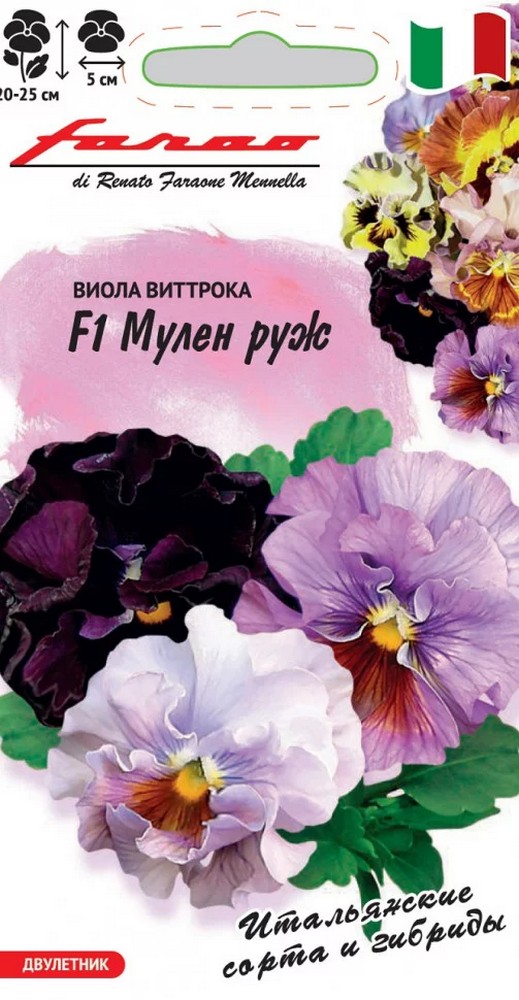 Виола срезочная Мулен Руж, 5 шт. Фарао.