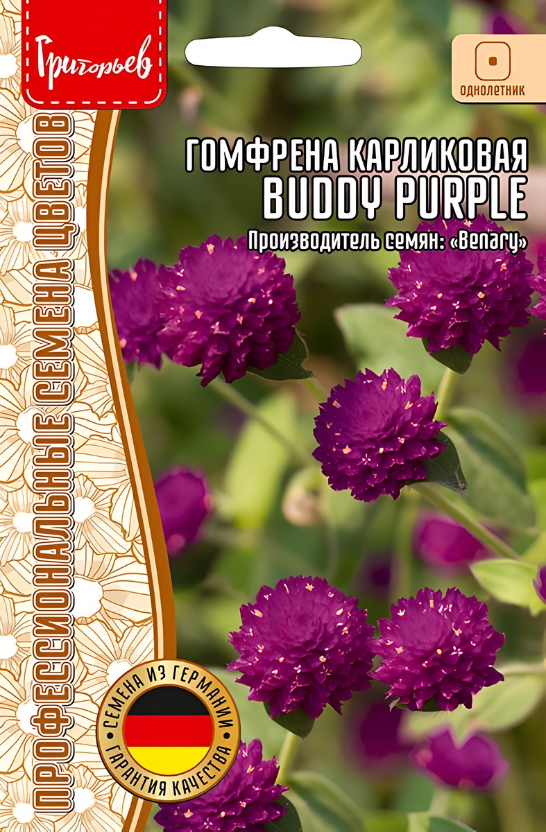 Гомфрена Buddy Purple, карликовая,  5 шт.
