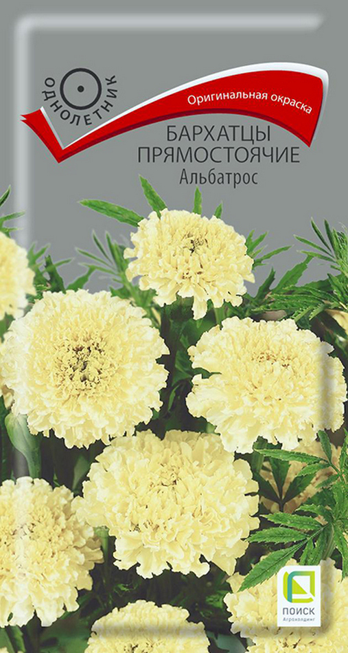 Бархатцы прямостоячие Альбатрос, 0,1 г