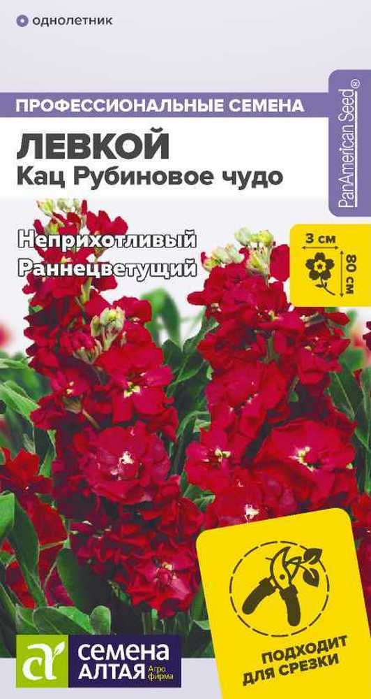 Левкой махровый Кац Рубиновое чудо, 8 шт.