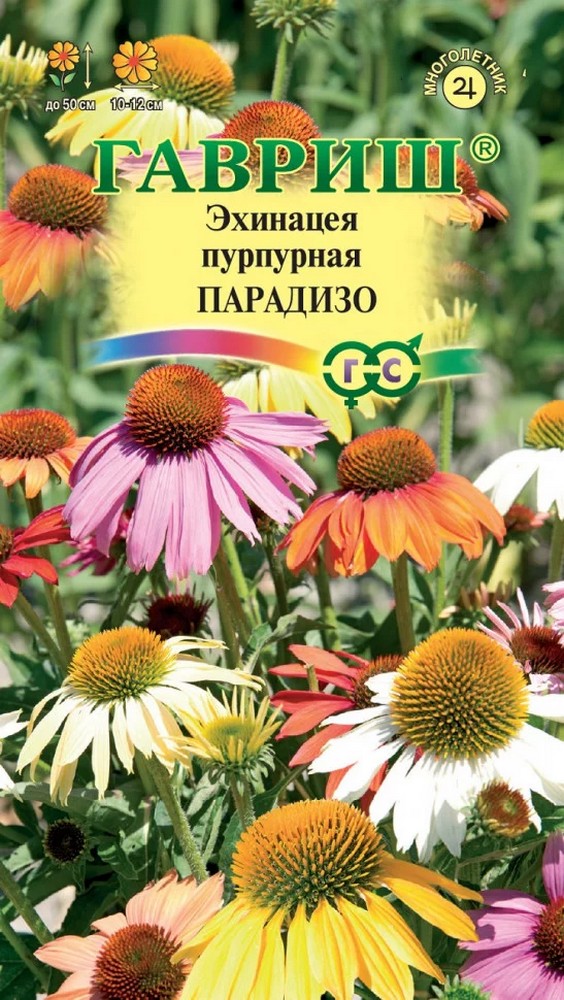 Эхинацея Парадизо, смесь, 6 шт. 