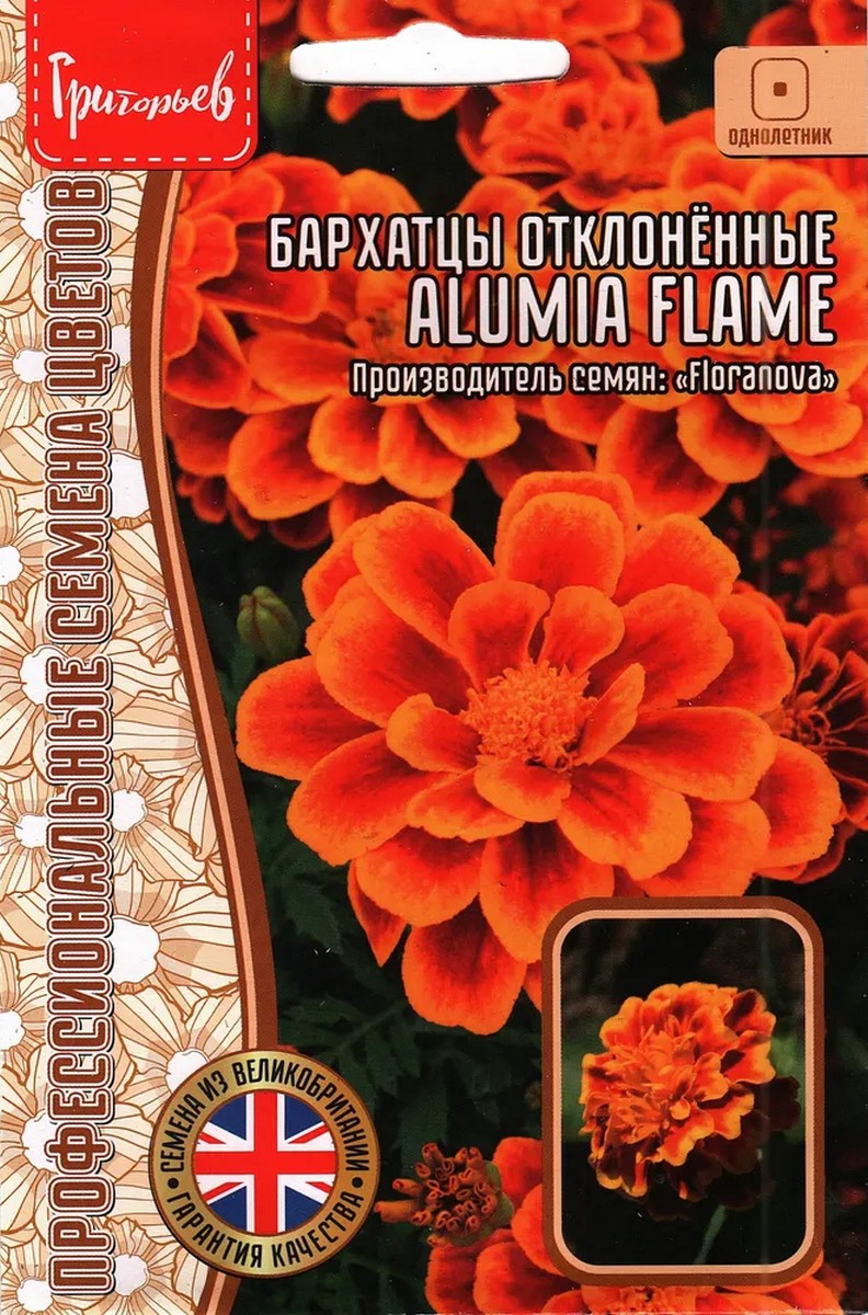 Бархатцы Alumia Flame, отклонённые, 5 шт.