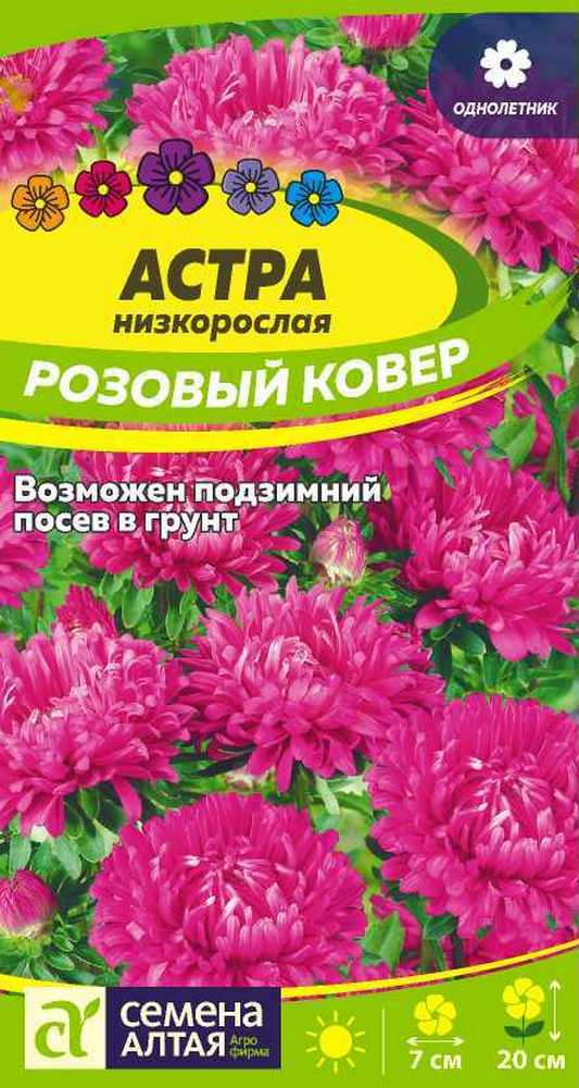 Астра низкорослая Розовый ковер, 0,3 г