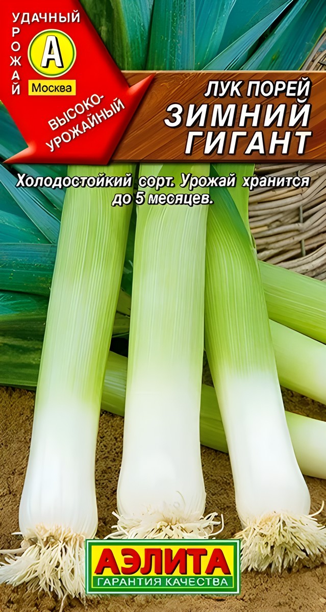 Лук порей Зимний гигант, 0,5 г