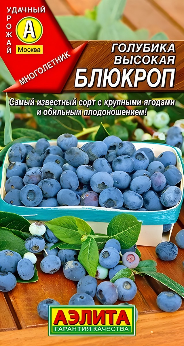 Голубика высокая Блюкроп, 0,01 г