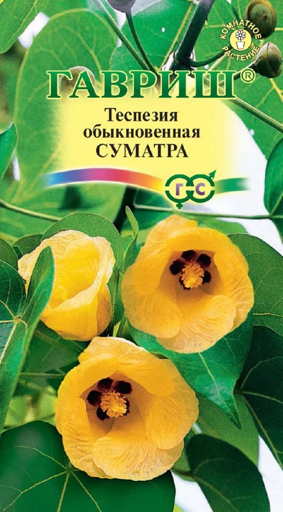 Теспезия Суматра, 3 шт.