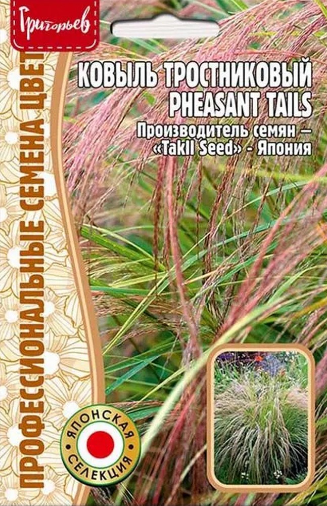 Ковыль тростниковый Pheasant Tails, 10 шт.