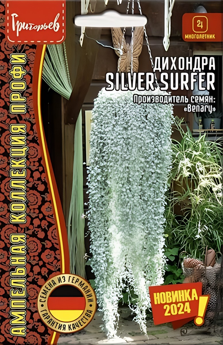 Дихондра Silver Surfer, Benary, 3 шт.