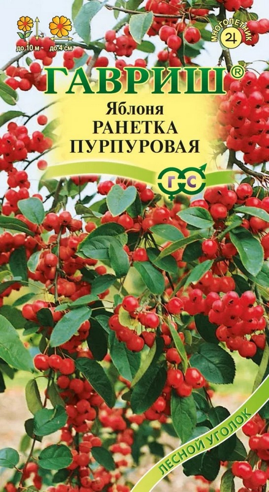 Яблоня Ранетка пурпуровая, 0,1 г. Лесной уголок.