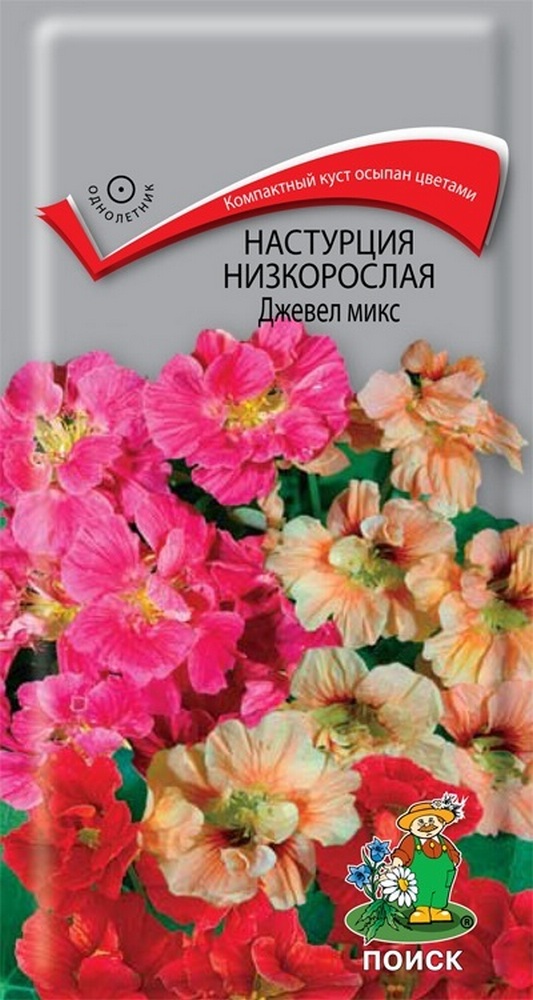 Настурция низкорослая Джевел микс, 2 г